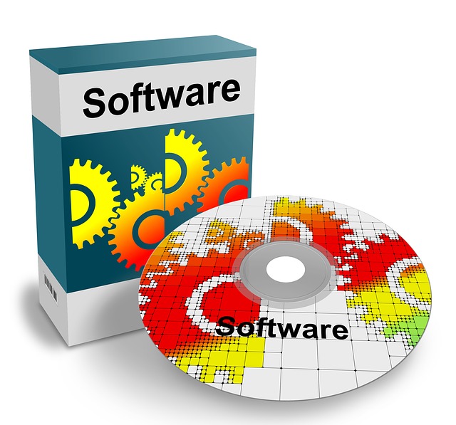 outsourcing software project