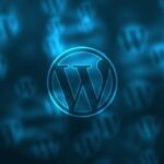 12 Must Have WordPress Plugins for Business Websites