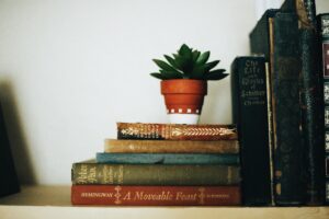evergreen potted resting on books which are holding a line of books in place.
